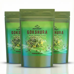 ACTIZEET Gokshura Powder for Testosterone Support