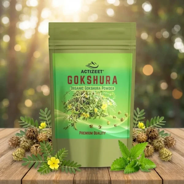 ACTIZEET Gokshura Root Powder Authentic Ayurvedic Supplement