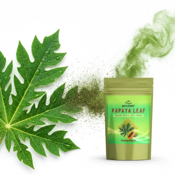 Fresh dew-covered papaya leaf transitioning into ACTIZEET Papaya Leaf Powder