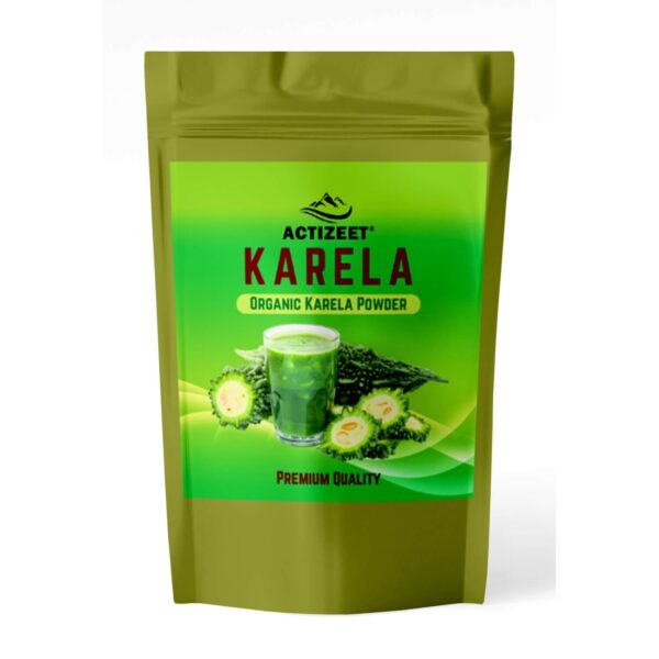 Karela Powder | ACTIZEET Organic Karela | 100 Grams 1