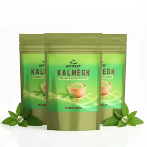 Pack of 3 ACTIZEET Kalmegh Powder pouches for bulk wellness