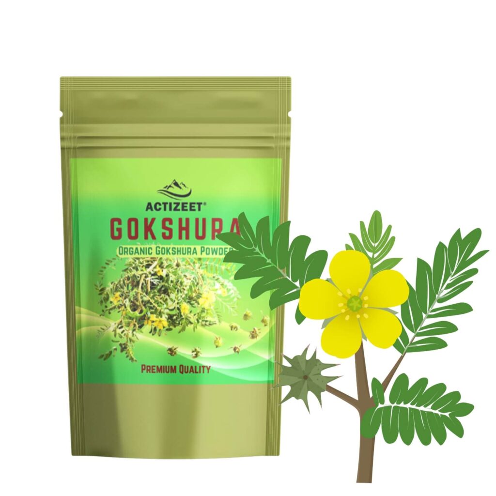 Premium Gokshura Powder