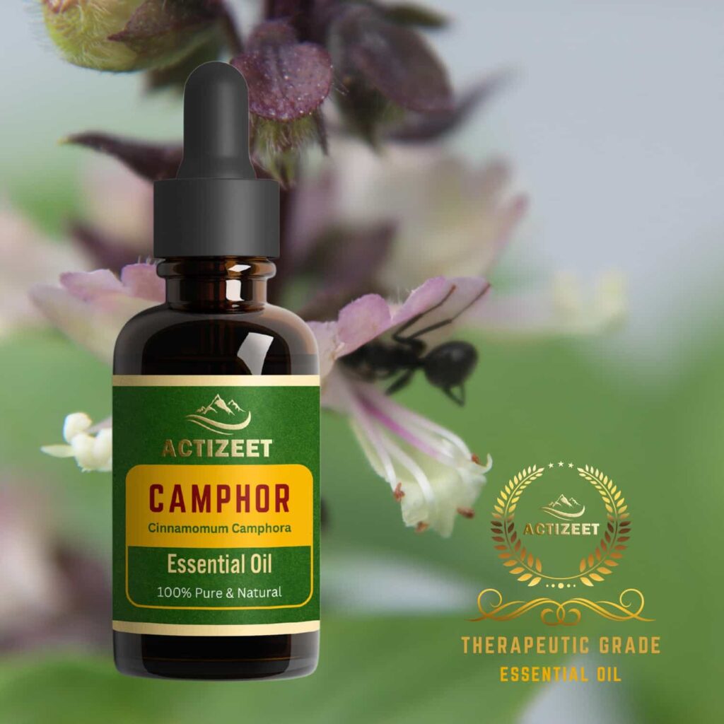 Camphor Essential Oil Therapeutic Grade