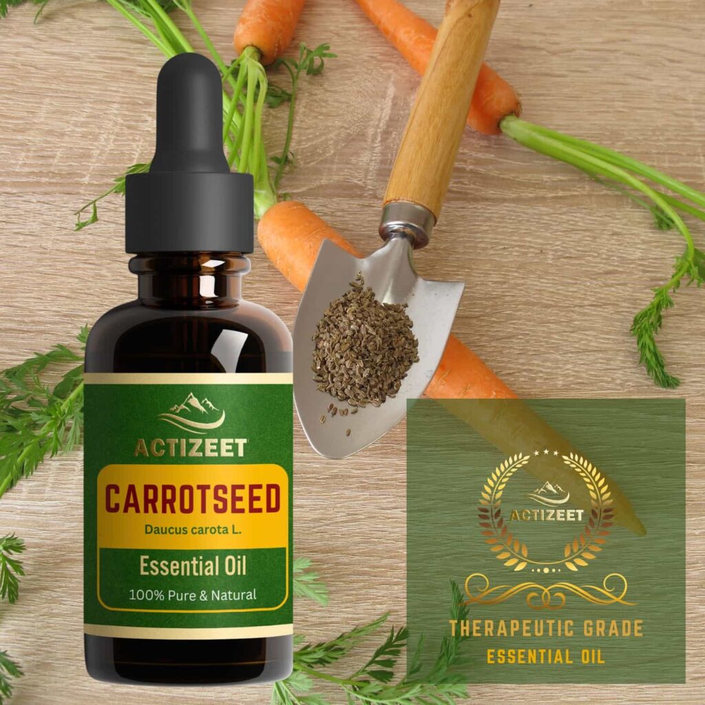 Carrot Seed Essential Oil Therapeutic Grade