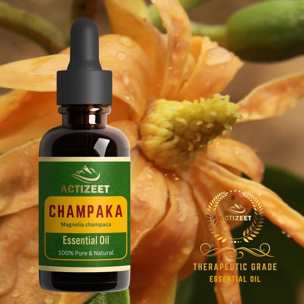 Champaka Essential Oil Therapeutic Grade
