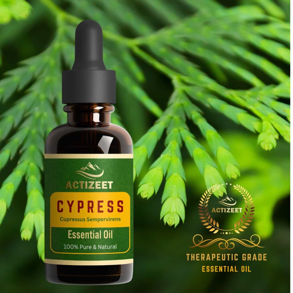 Cypress Essential Oil Therapeutic Grade