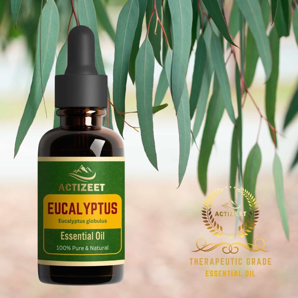 Eucalyptus Essential Oil Therapeutic Grade