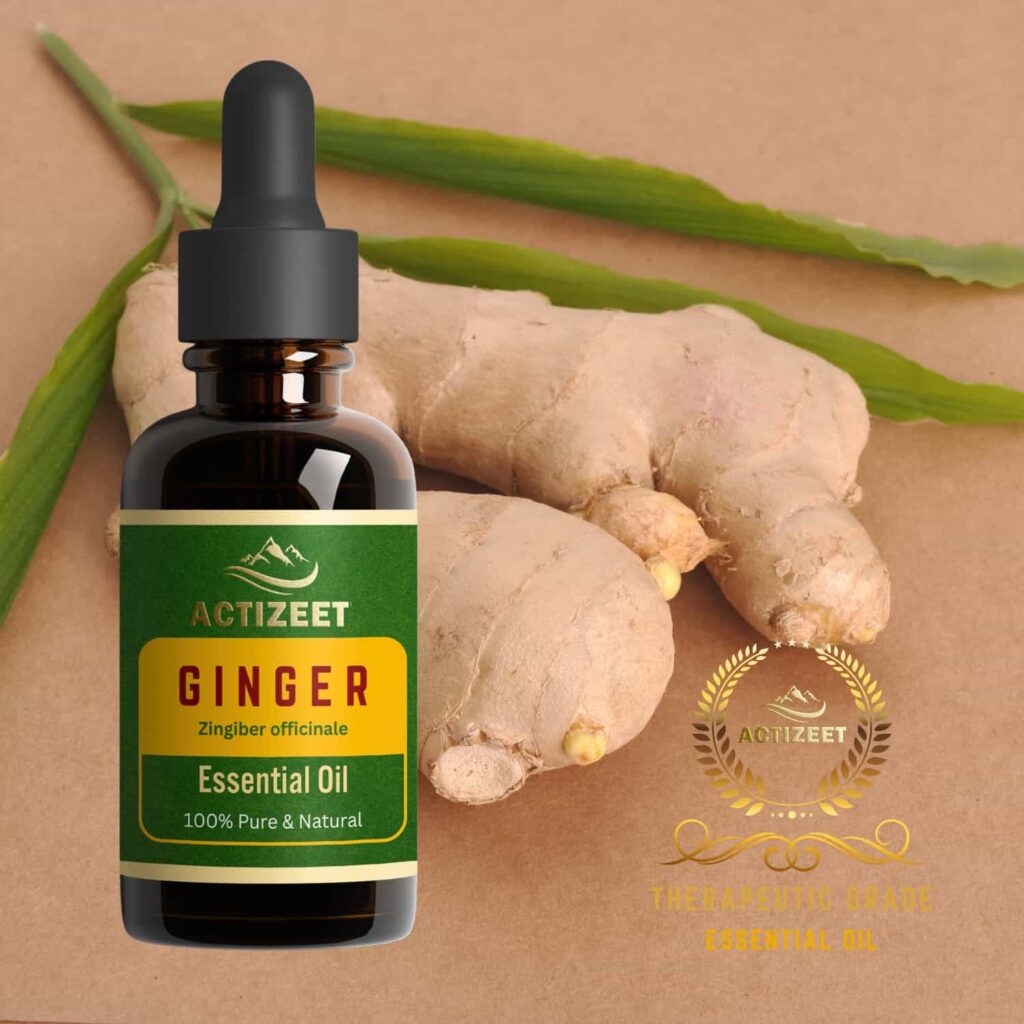 Ginger Essential Oil | ACTIZEET | 15 ML 1