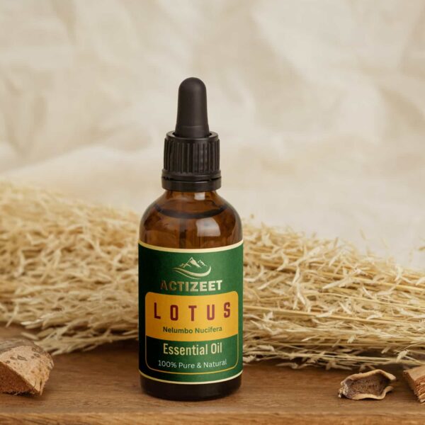 Lotus Essential Oil for Aroma Therapy