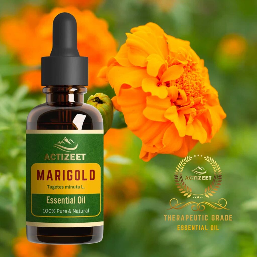 Marigold Essential oil Therapeutic Grade