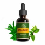 Spearmint Essential Oil | ACTIZEET | 15 ML