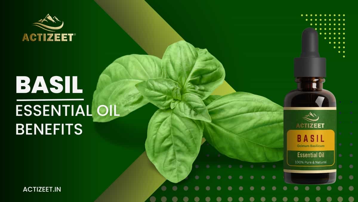Basil Essential Oil Benefits
