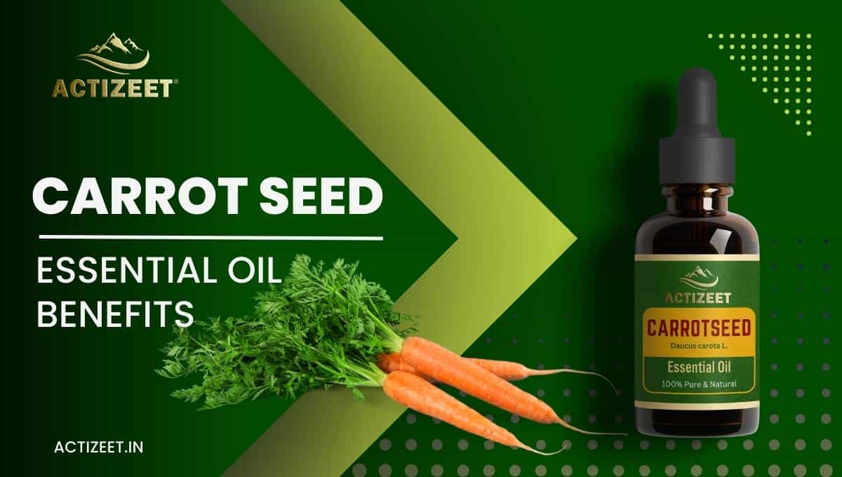 CARROT SEED Essential Oil Benefits