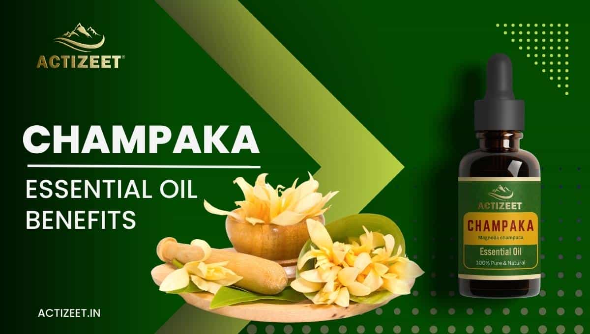 CHAMPAKA Essential Oil Benefits