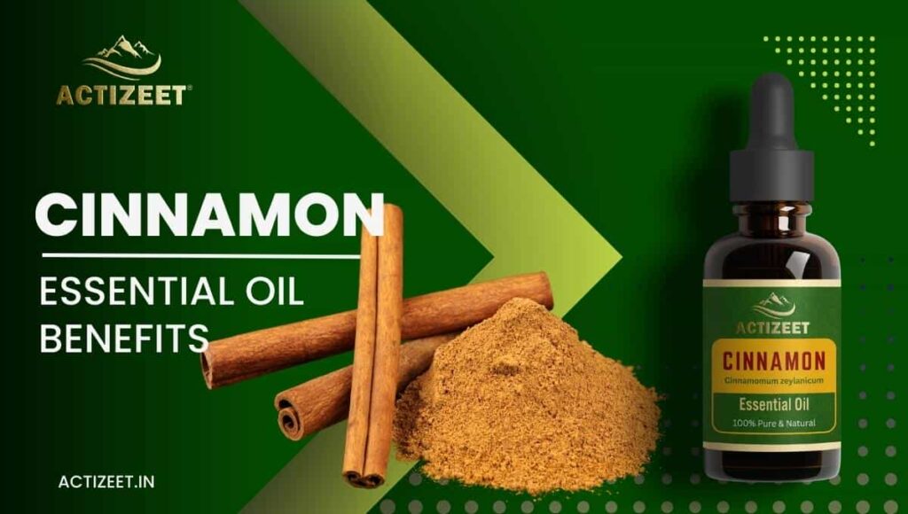 Cinnamon Essential Oil Nature's Versatile Healer