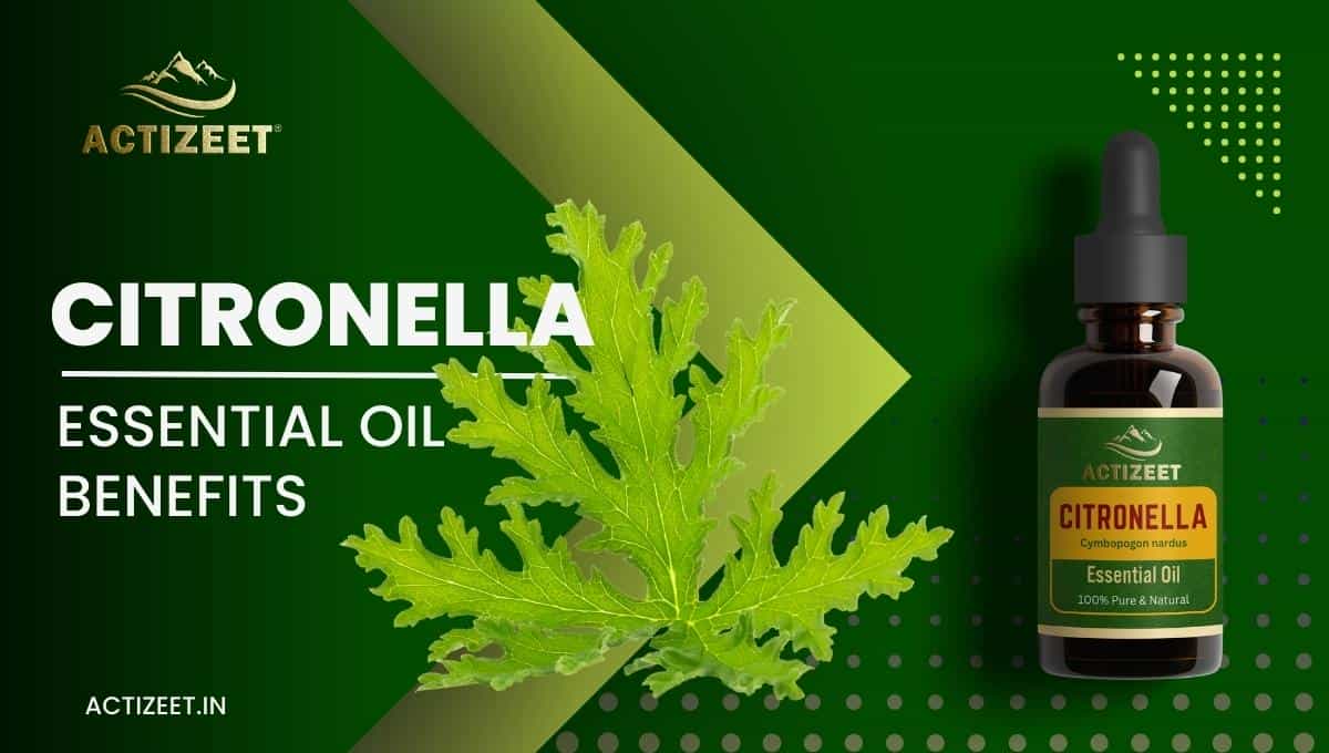 CITRONELLA Essential Oil Benefits