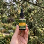 Order Therapeutic Grade Pine Essential Oil