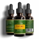 Organic Thyme Essential Oil