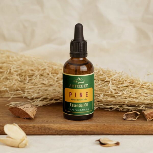 Pine Essential Oil for Aroma Therapy