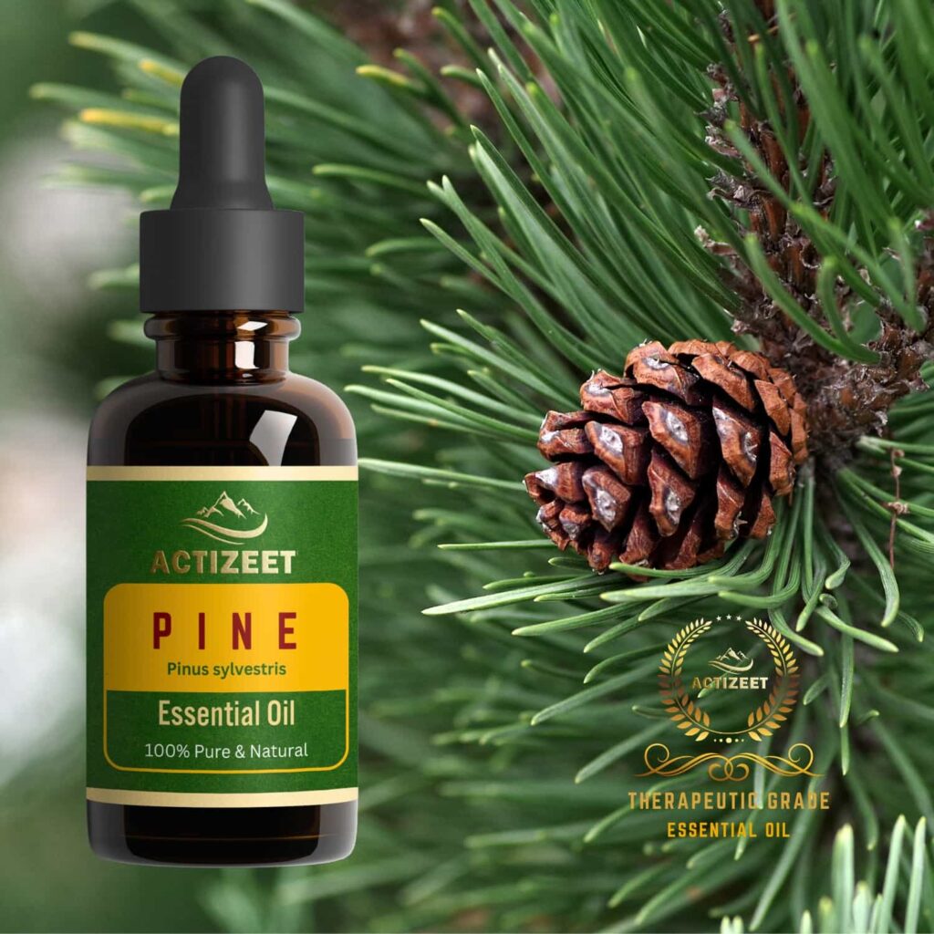 Pine Essential oil Therapeutic Grade