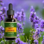 Sweet Lavender Essential oil Therapeutic Grade