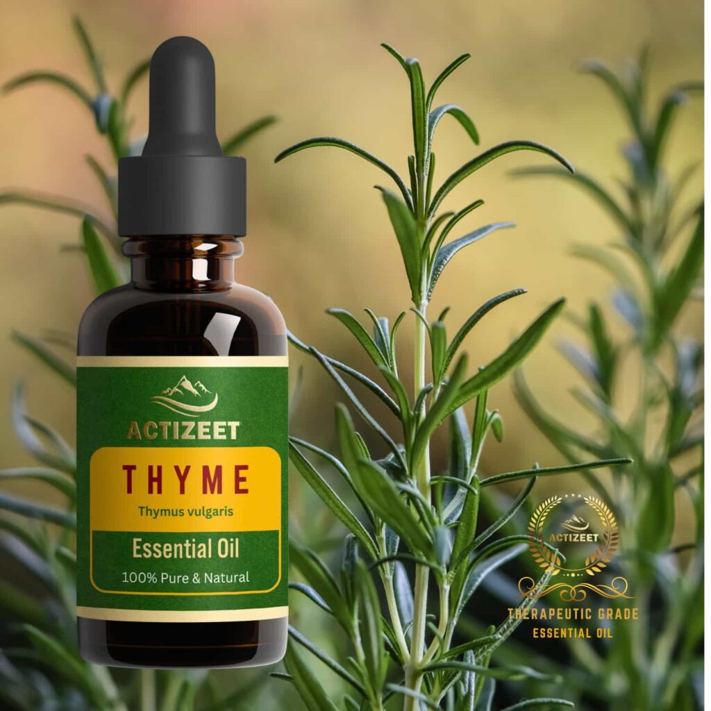 Thyme Essential oil Therapeutic Grade