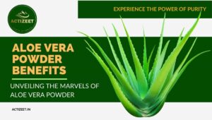 Aloe Vera Powder Benefits