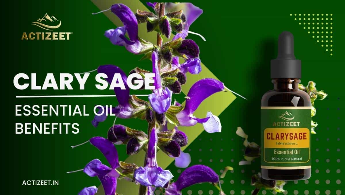 CLARY SAGE Essential Oil Benefits