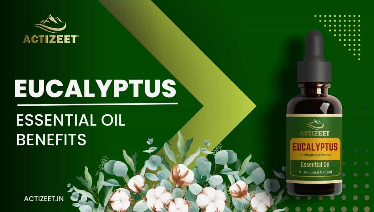 EUCALYPTUS Essential Oil Benefits