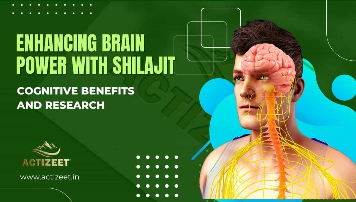 Enhancing Brain Power with Shilajit-Cognitive Benefits and Research