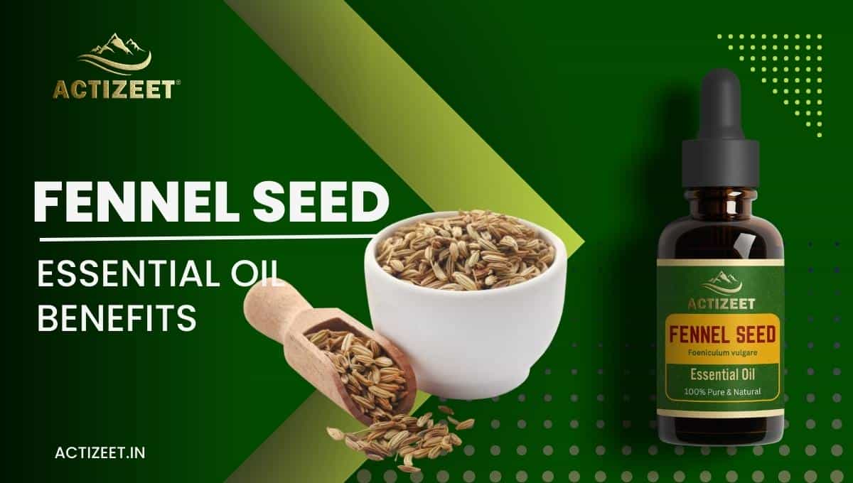 FENNEL SEED Essential Oil Benefits
