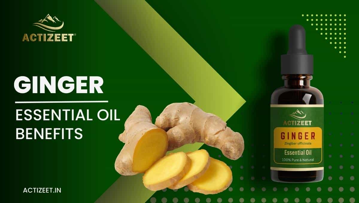GINGER Essential Oil Benefits