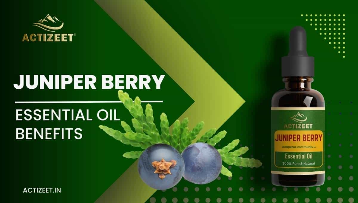 JUNIPER BERRY Essential Oil Benefits