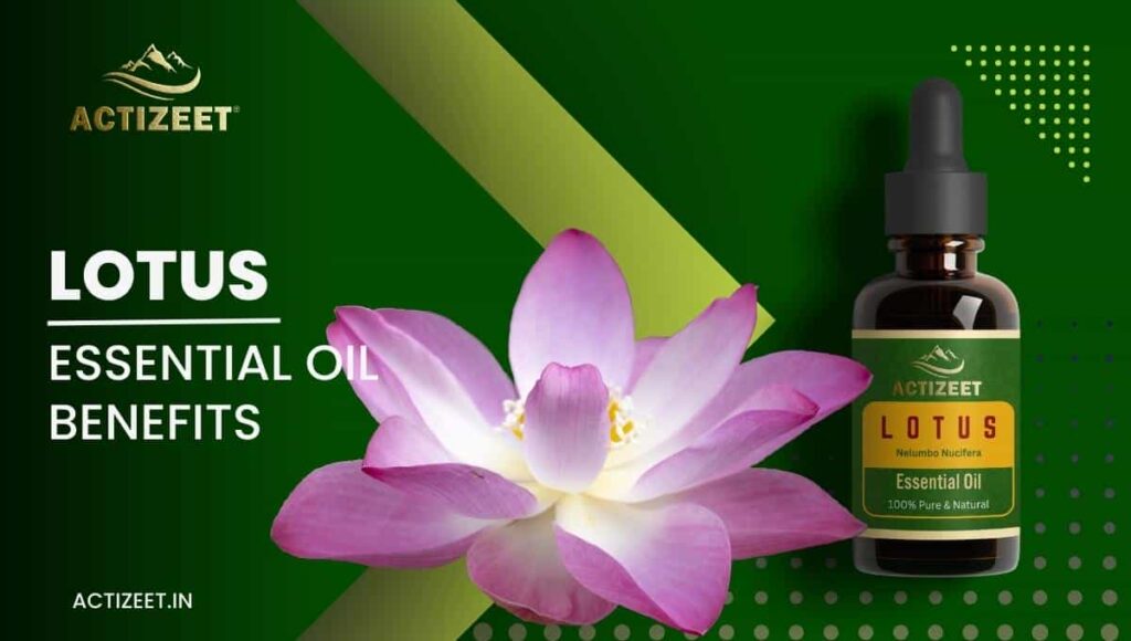 LOTUS Essential Oil Benefits