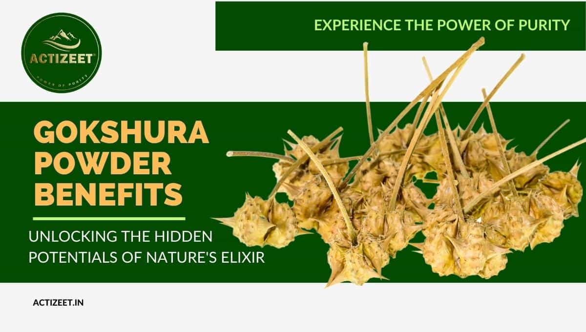 Gokshura Powder Benefits