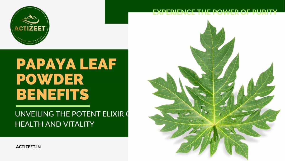 Papaya Leaf Powder Benefits