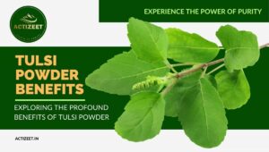 Tulsi Powder Benefits
