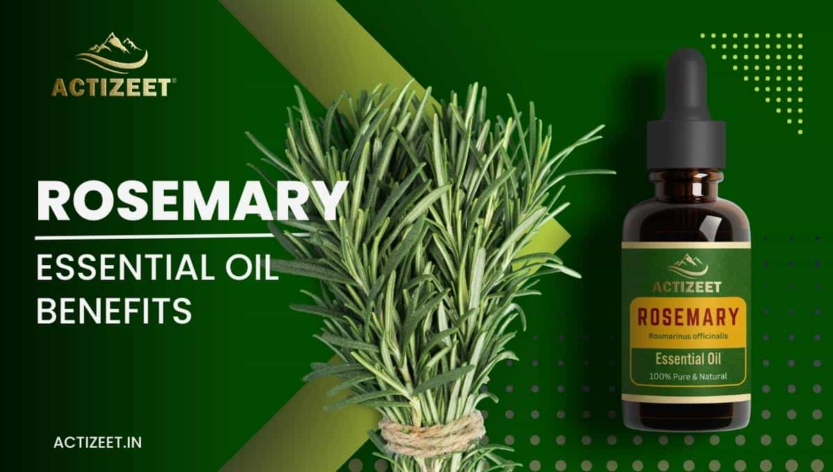ROSEMARY Essential Oil Benefits