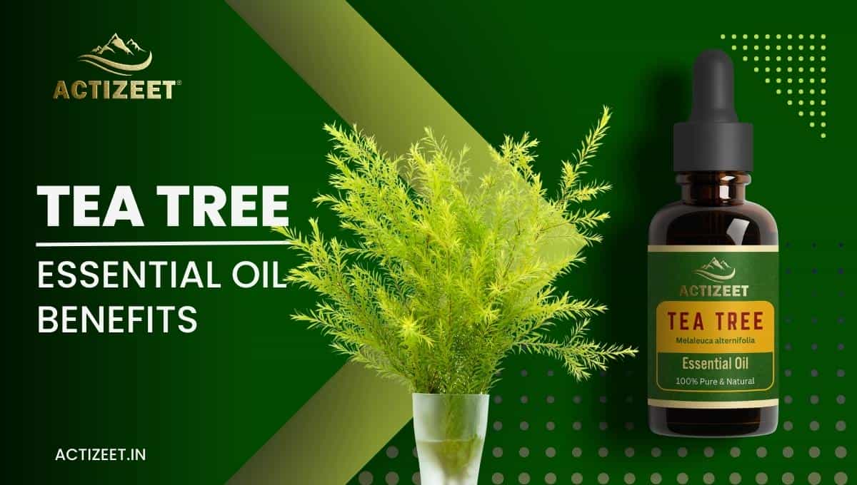 TEA TREE Essential Oil Benefits