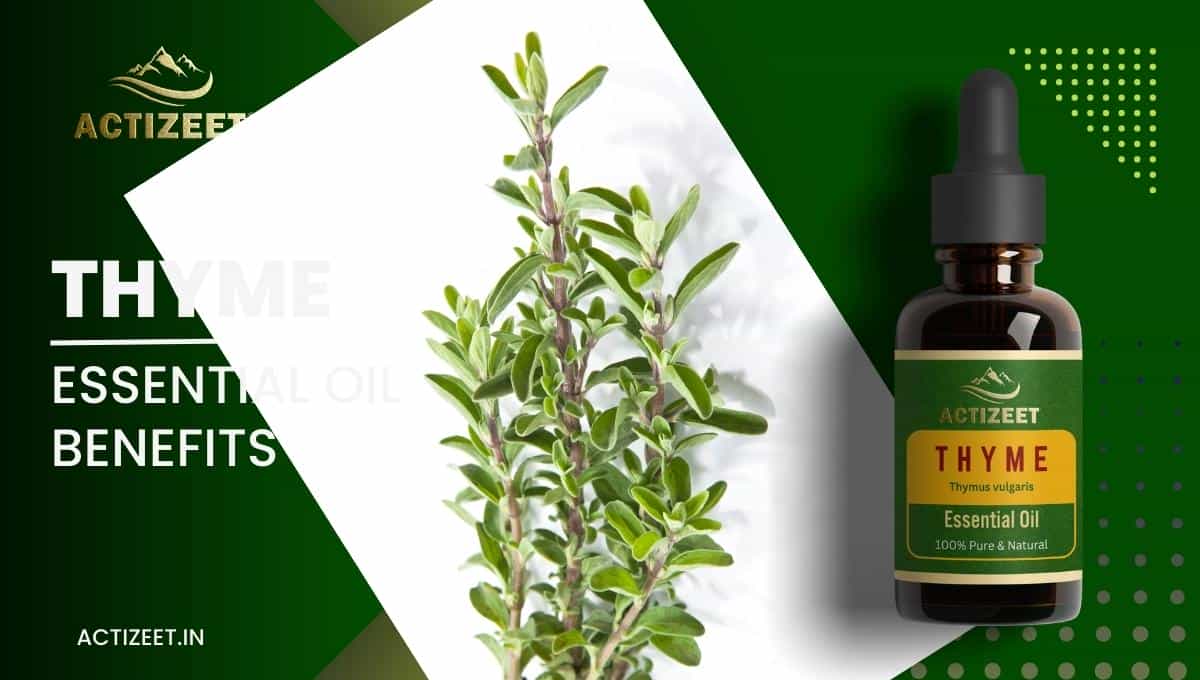 THYME Essential Oil Benefits