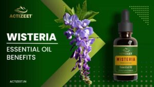 WISTERIA Essential Oil Benefits
