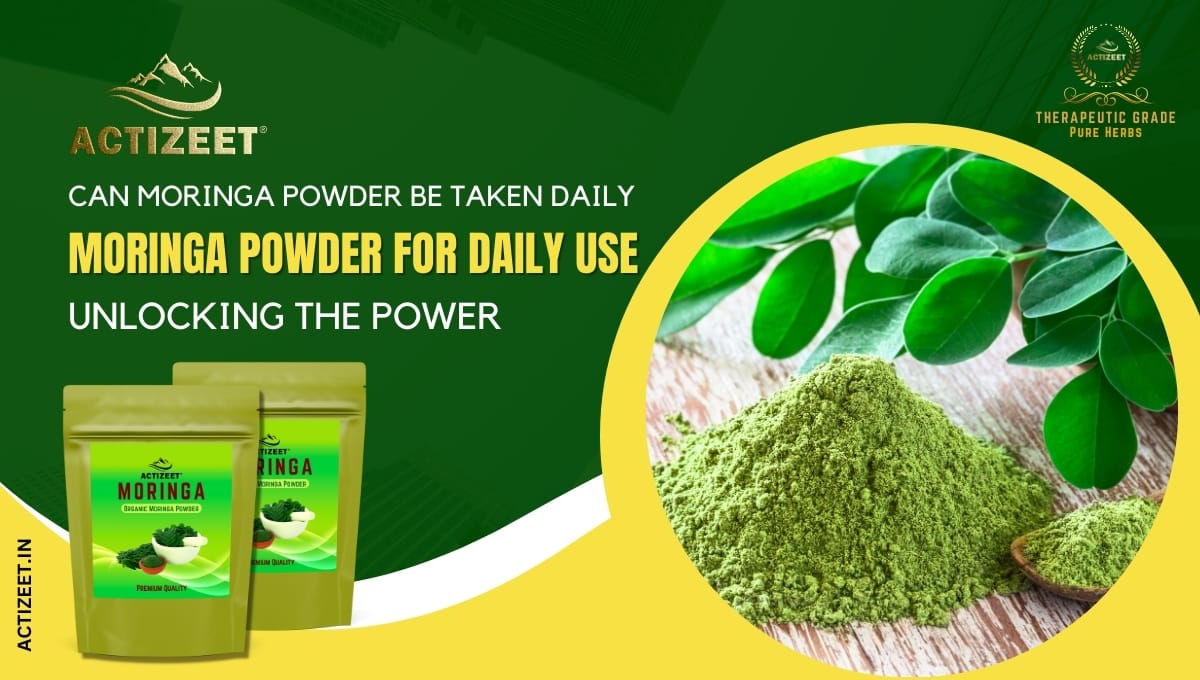 can moringa powder be taken daily?