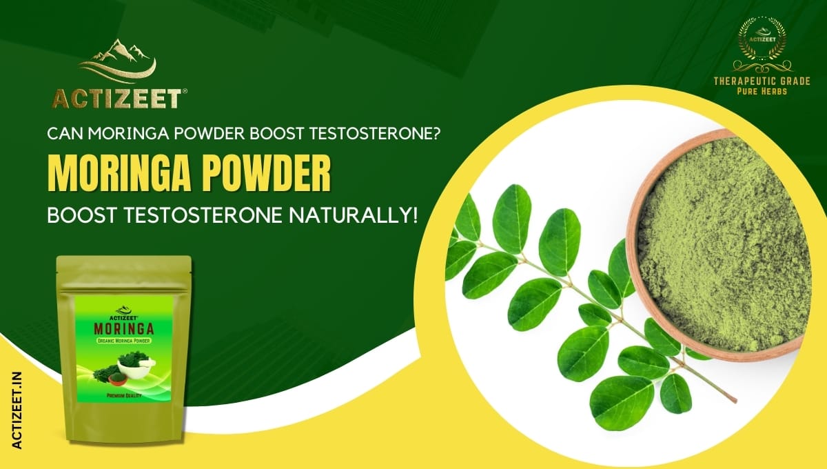 can moringa powder boost testosterone?