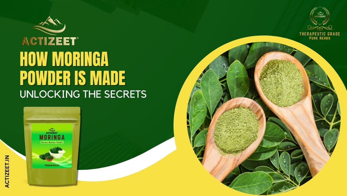 how moringa powder is made