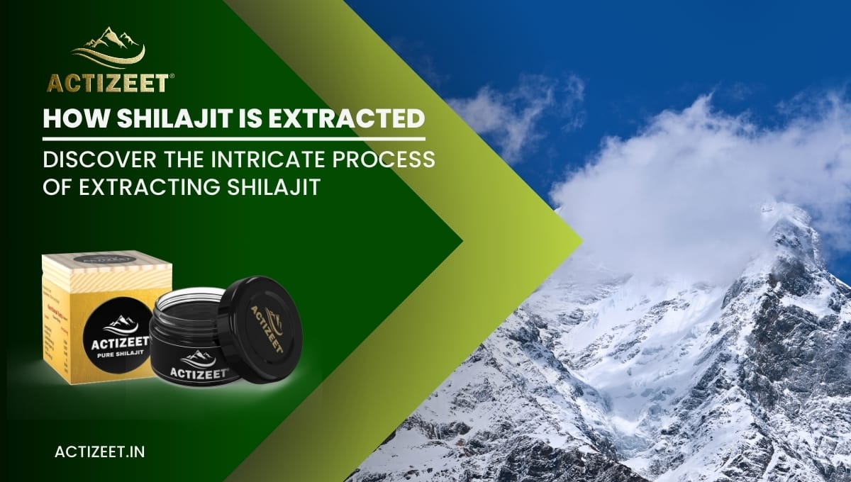 how shilajit is extracted