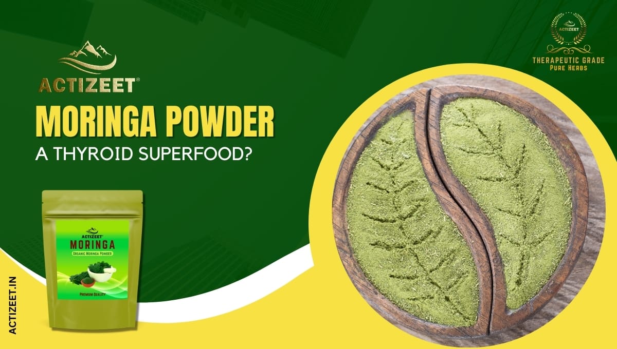 is moringa powder good for thyroid