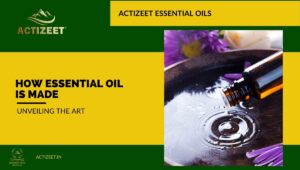 how essential oil is made