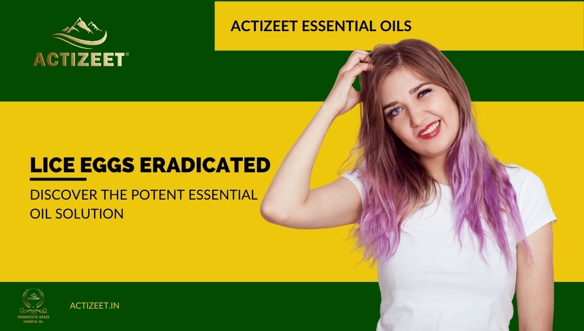 what essential oil kills lice eggs