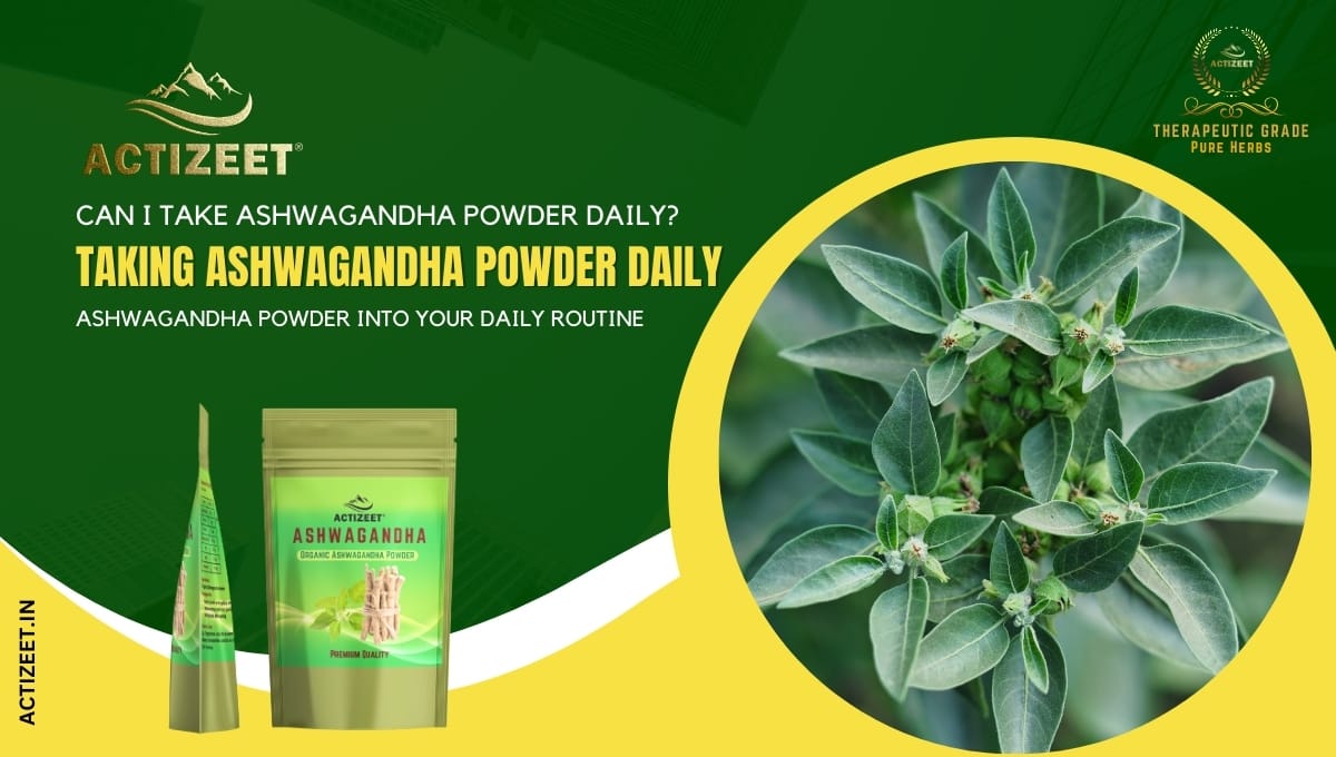 can i take ashwagandha powder daily