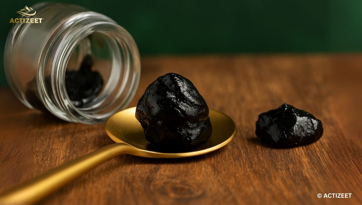 A Guide To Authentic Shilajit-Identifying Genuine Shilajit